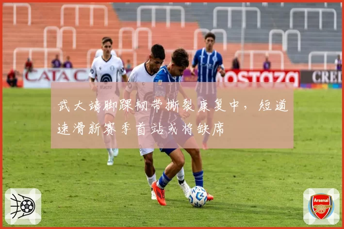 武大靖脚踝韧带撕裂康复中,短道速滑新赛季首站或将缺席