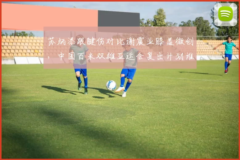 苏炳添跟腱伤对比谢震业膝盖微创，中国百米双雄亚运会复出计划谁先落地？