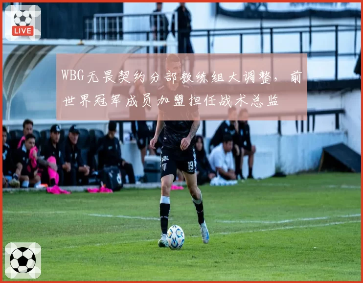 WBG无畏契约分部教练组大调整,前世界冠军成员加盟担任战术总监