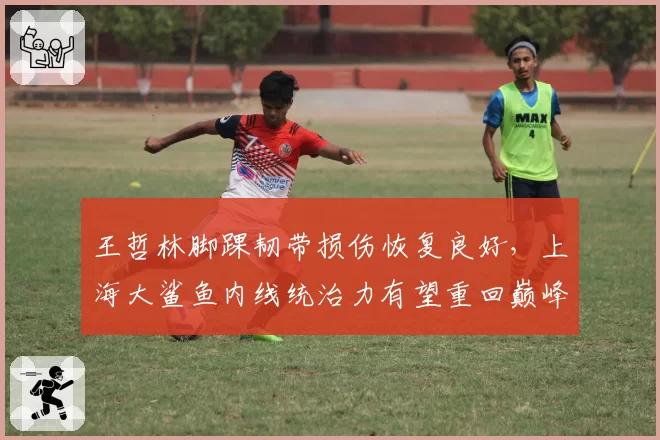 王哲林脚踝韧带损伤恢复良好,上海大鲨鱼内线统治力有望重回巅峰