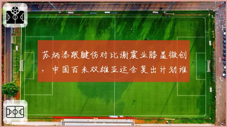 苏炳添跟腱伤对比谢震业膝盖微创，中国百米双雄亚运会复出计划谁先落地？