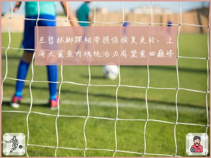 王哲林脚踝韧带损伤恢复良好，上海大鲨鱼内线统治力有望重回巅峰